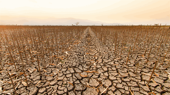 Climate Loss and Damage Fund Set to Launch into Action Next Year